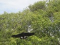 /album/fotogaleria/hato-el-cedral-357-jpg/